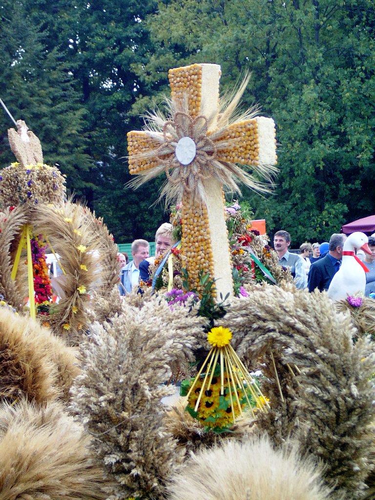 Dożynki Powiatowe 2003 — Korony — zdjęcie 11
